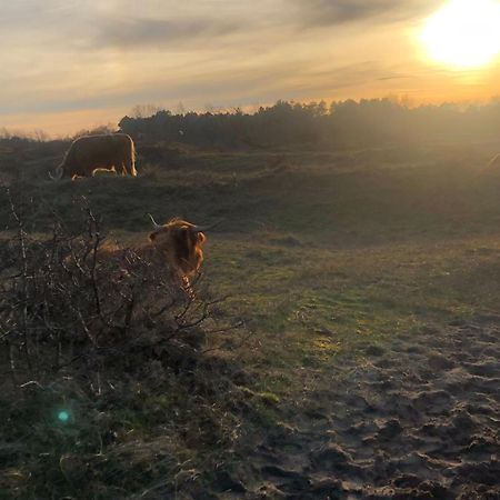 De Bosrand Grenzend Aan Het Bos Villa Кастрикум Екстериор снимка