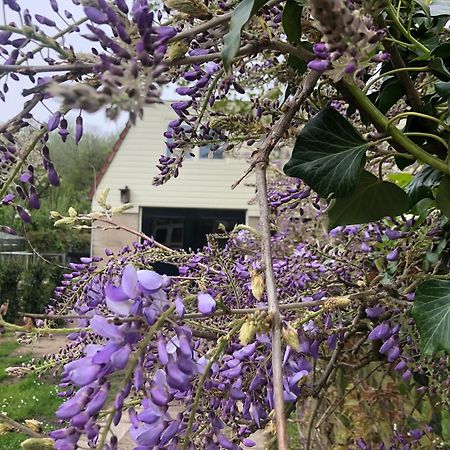 De Bosrand Grenzend Aan Het Bos Villa Кастрикум Екстериор снимка