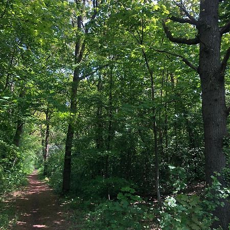 De Bosrand Grenzend Aan Het Bos Villa Кастрикум Екстериор снимка