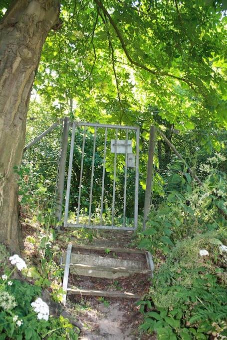 De Bosrand Grenzend Aan Het Bos Villa Кастрикум Екстериор снимка
