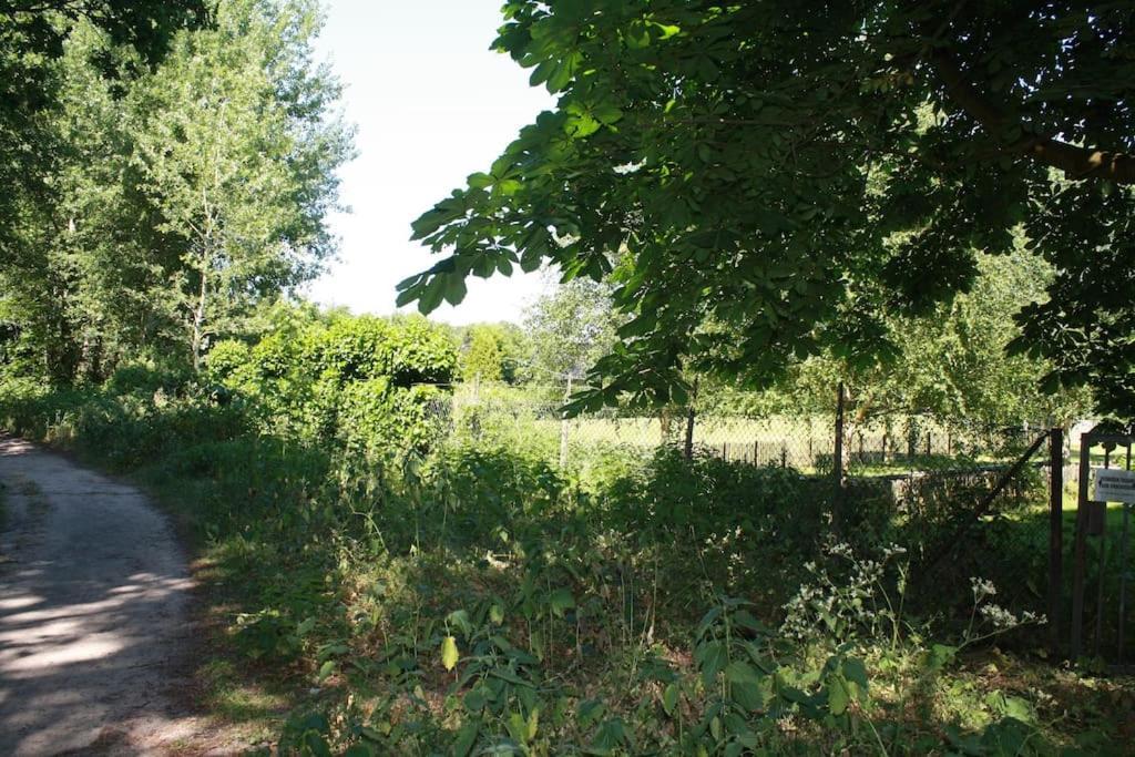 De Bosrand Grenzend Aan Het Bos Villa Кастрикум Екстериор снимка
