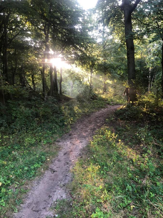 De Bosrand Grenzend Aan Het Bos Villa Кастрикум Екстериор снимка